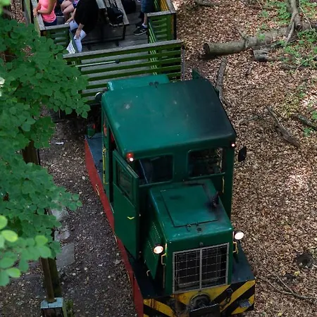 Kokapu Vadaszkastely Es & 3* Nagyhuta