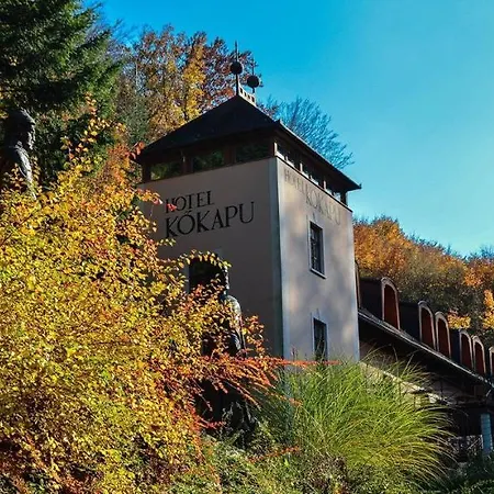 Отель Kokapu Vadaszkastely Es & 3*